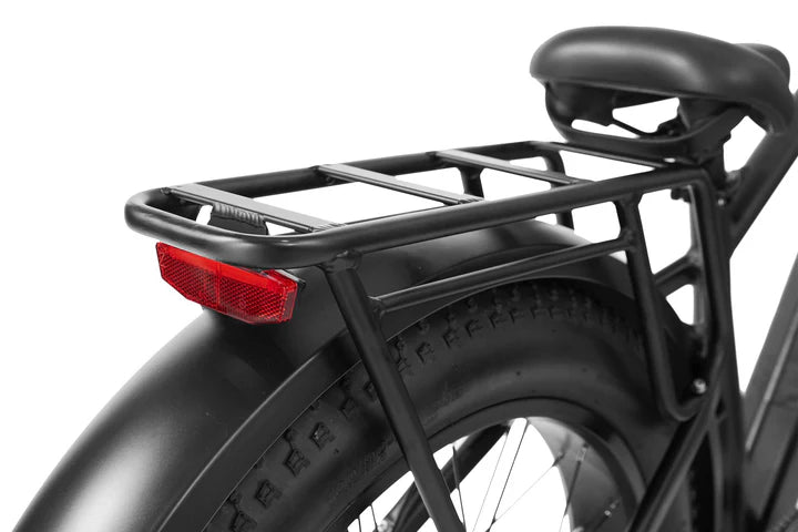 Dirwin Pioneer Step Through Fat Tire Electric Bike