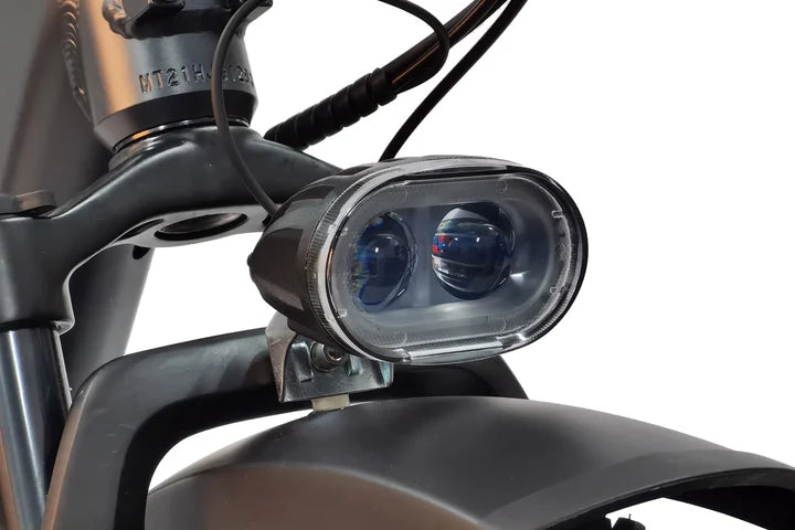 Dirwin Pioneer Step Through Fat Tire Electric Bike