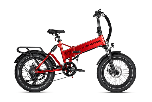 WIND HORSE 48V500W13AH Electric Utility Bike