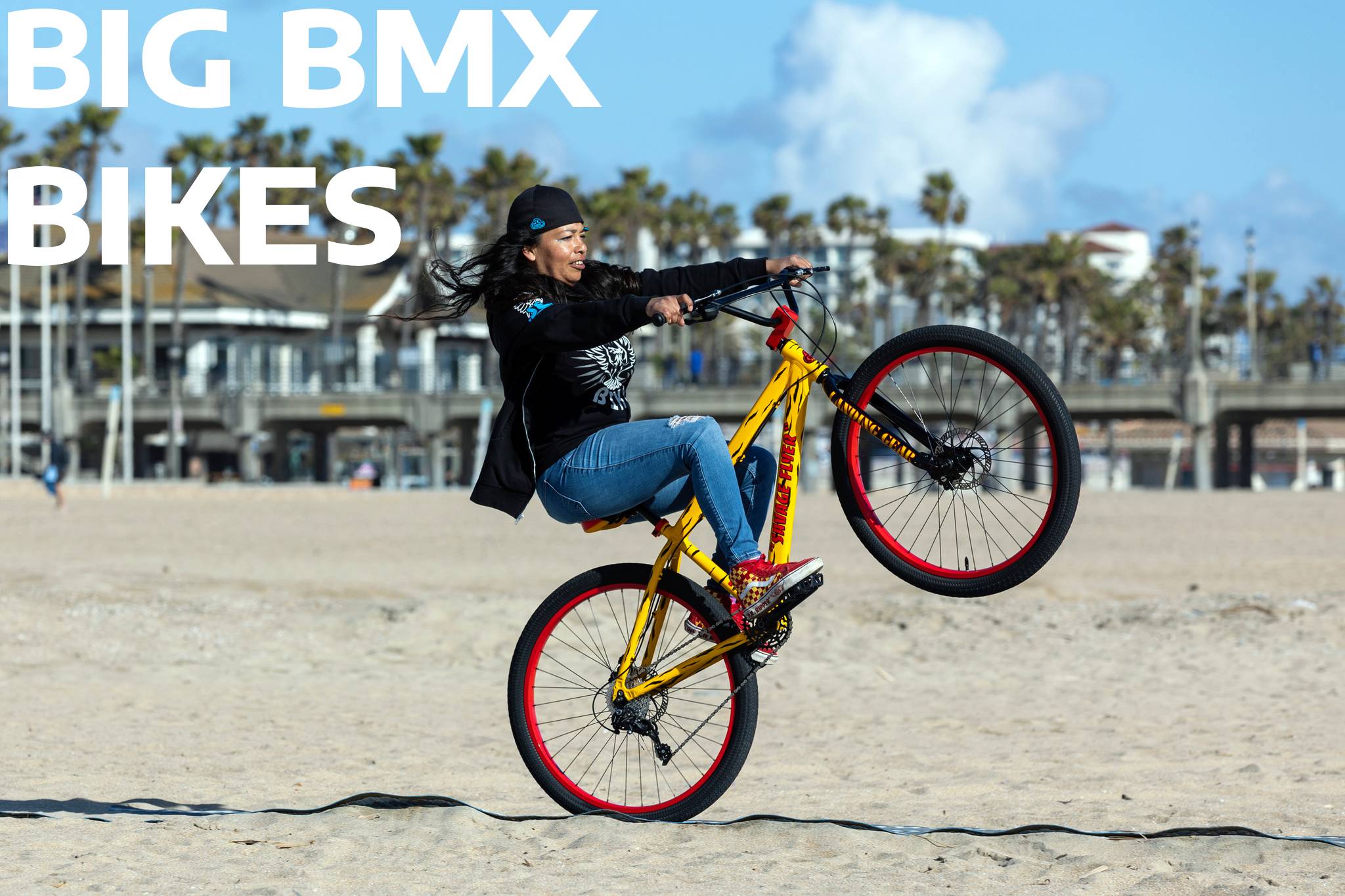 nori-bicycle　904545 $_57.PNG?set_id=880000500F