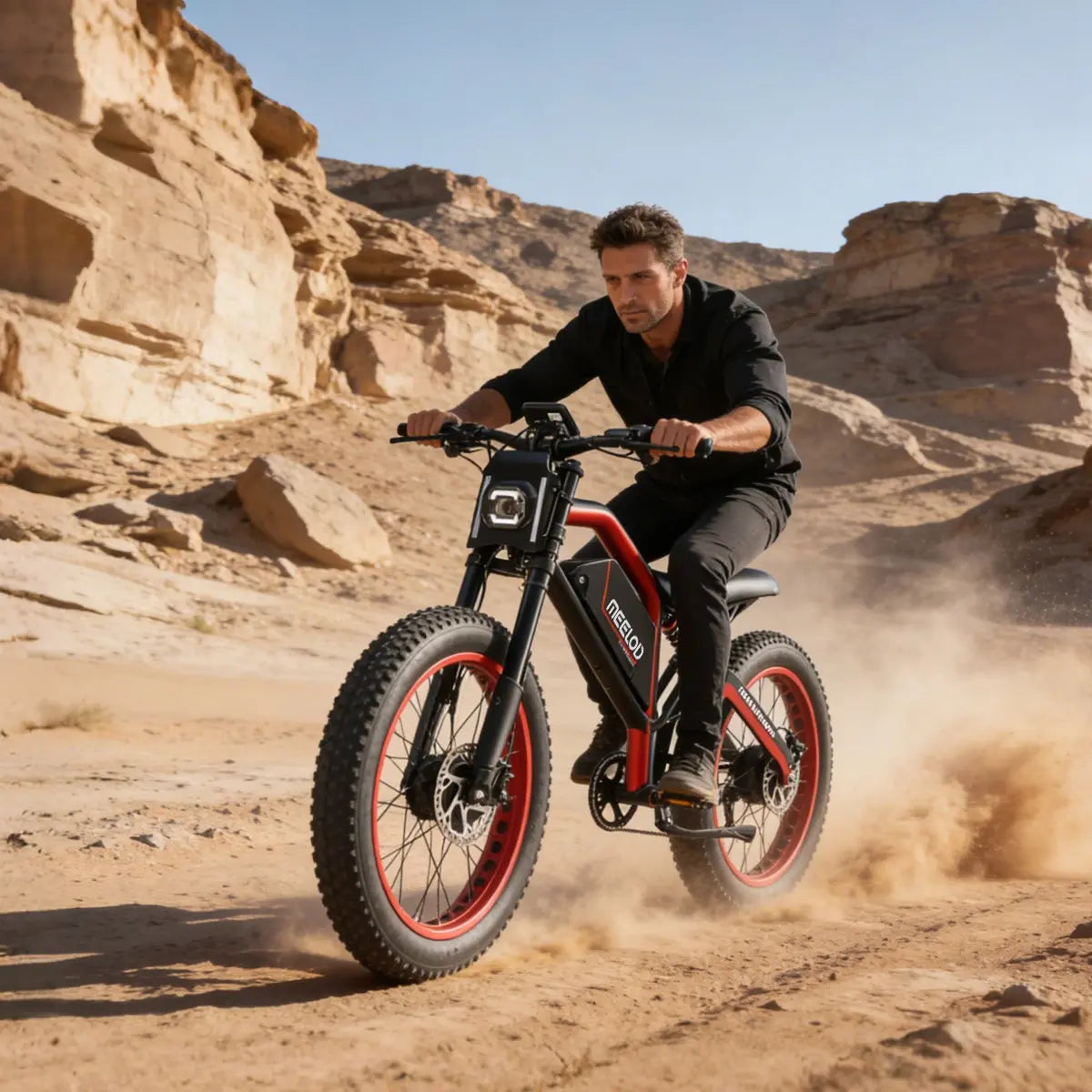 MEELOD XT600DL Fat Tire E-Bike